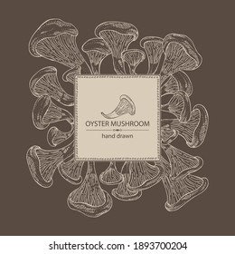 Background with oyster mushroom: mushroom pleurotus. Mushroom. Vector hand drawn illustration