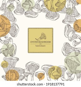 Background with oyster mushroom: mushroom pleurotus. Mushroom. Vector hand drawn illustration
