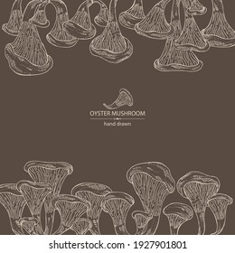 Background with oyster mushroom: mushroom pleurotus. Mushroom. Vector hand drawn illustration