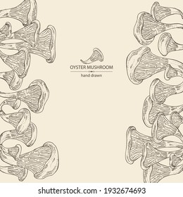 Background with oyster mushroom: mushroom pleurotus. Mushroom. Vector hand drawn illustration