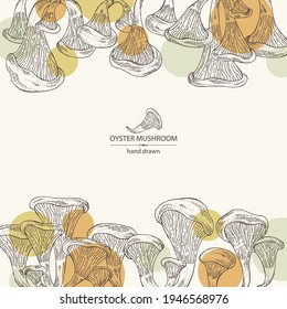 Background with oyster mushroom: mushroom pleurotus. Mushroom. Vector hand drawn illustration