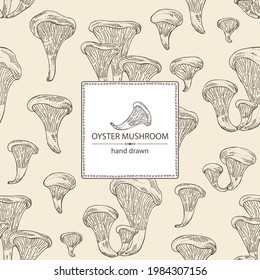 Background with oyster mushroom: mushroom pleurotus. Mushroom. Vector hand drawn illustration