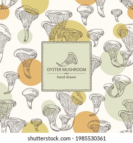 Background with oyster mushroom: mushroom pleurotus. Mushroom. Vector hand drawn illustration