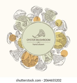 Background with oyster mushroom: mushroom pleurotus. Mushroom. Vector hand drawn illustration