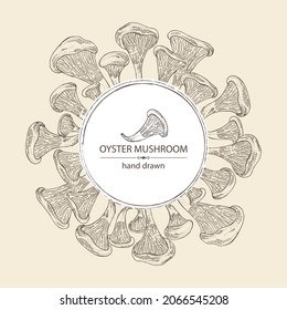 Antecedentes con setas de ostras: hongos pleurotus. Setas. Ilustración dibujada a mano por el vector