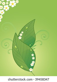 background with pair of fresh green leaves and blossoms