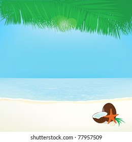 background palm leafs coconut, and star, summer vacation