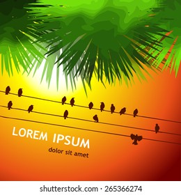 Background palm leaves and birds at sunset. Vector