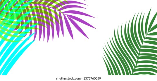 Background from palm leaves. In the center of the place for the inscription