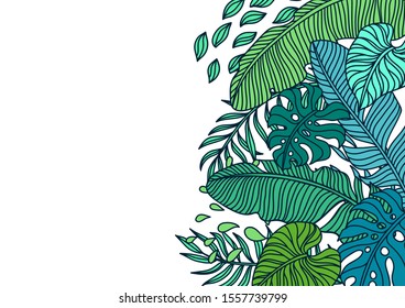 Background with palm leaves. Decorative image of tropical foliage and plants.