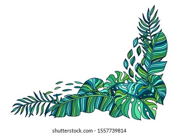 Background with palm leaves. Decorative image of tropical foliage and plants.