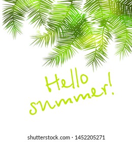 The background is palm leaves. Hello summer. Vector illustration