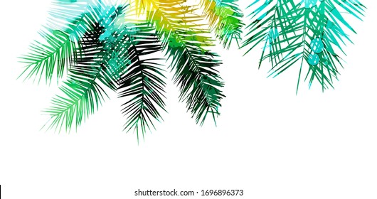 Hintergrund mit Palmblättern.Hallo Sommer. Vektorillustration