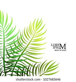 Background of palm leaves. Vector