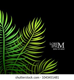 Background of palm leaves. Vector