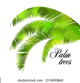 Background with palm leaves. Vector
