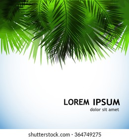 Background palm leaves. Vector
