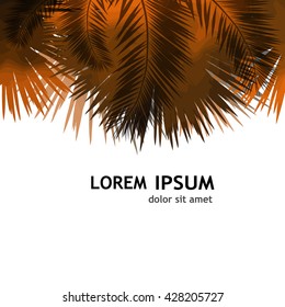 Background palm leaves. Vector