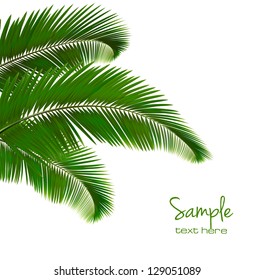 Background with palm leaves. Vector illustration