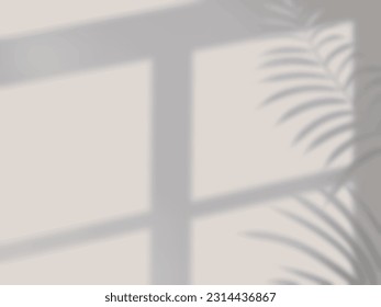 Background with palm leaves and window shadows on the wall