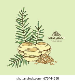 Background with palm sugar: sugar and palm leaves. Vector hand drawn illustration..