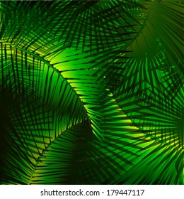 Background with palm tree leaves . Vector