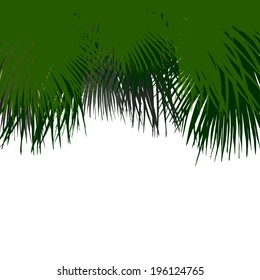 Background with palm tree leaves . Vector 