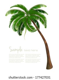 Background with a palm tree. Vector illustration 