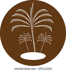background  palm  tree vector. symple 