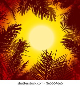 Background palm trees at sunset. Vector
