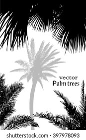 background palm trees tracing. Vector