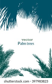 background palm trees tracing. Vector