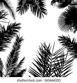 Background with palm trees. Vector