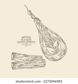 Background with palo santo: palo santo wood  and palo santo sticks. Bulnesia sarmientoi. Cosmetic, perfumery and medical plant. Vector hand drawn illustration