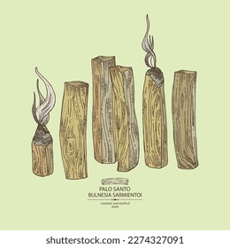 Background with palo santo: palo santo wood  and palo santo sticks. Bulnesia sarmientoi. Cosmetic, perfumery and medical plant. Vector hand drawn illustration