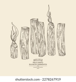 Background with palo santo: palo santo wood  and palo santo sticks. Bulnesia sarmientoi. Cosmetic, perfumery and medical plant. Vector hand drawn illustration