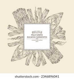 Background with palo santo: palo santo wood  and palo santo sticks. Bulnesia sarmientoi. Cosmetic, perfumery and medical plant. Vector hand drawn illustration