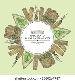 Background with palo santo: palo santo wood  and palo santo sticks. Bulnesia sarmientoi. Cosmetic, perfumery and medical plant. Vector hand drawn illustration