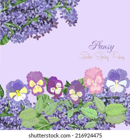 Background with pansies and lilac.Vector illustration