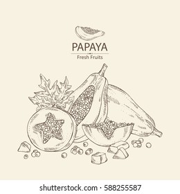 Background with papaya and papaya slice. Hand drawn.