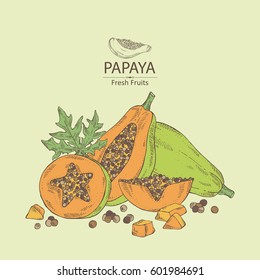 Background with papaya and papaya slice. Hand drawn.
