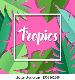 Background with paper palm leaves. Decorative image of tropical foliage and plants.