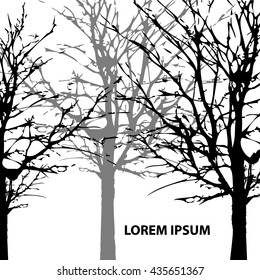 Background Park trees silhouette. Vector