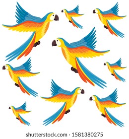 background of parrots animals exotic vector illustration design