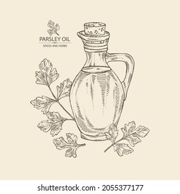 Background with parsley: parsley leaves, plant, and bottle of parsley oil. Vector hand drawn illustration