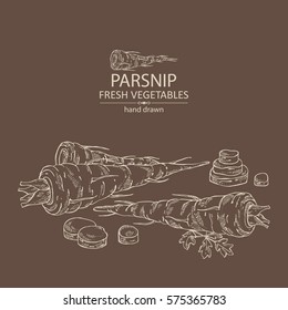 Background with parsnip. hand drawn