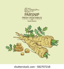 Background with parsnip. hand drawn