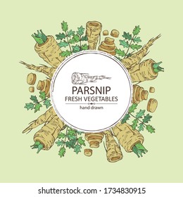 Background with parsnip. Vector hand drawn illustration.