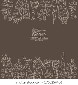 Background with parsnip. Vector hand drawn illustration.