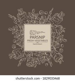 Background with parsnip. Vector hand drawn illustration.